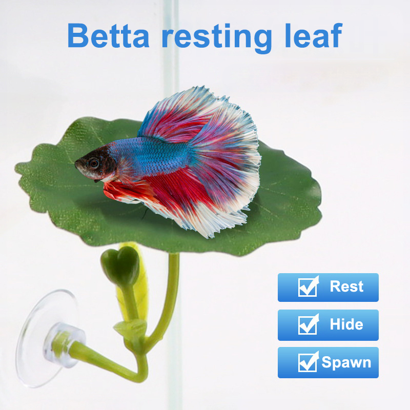 Betta Fish Tank - (Ce14)1/5PC Amaca a forma di foglia