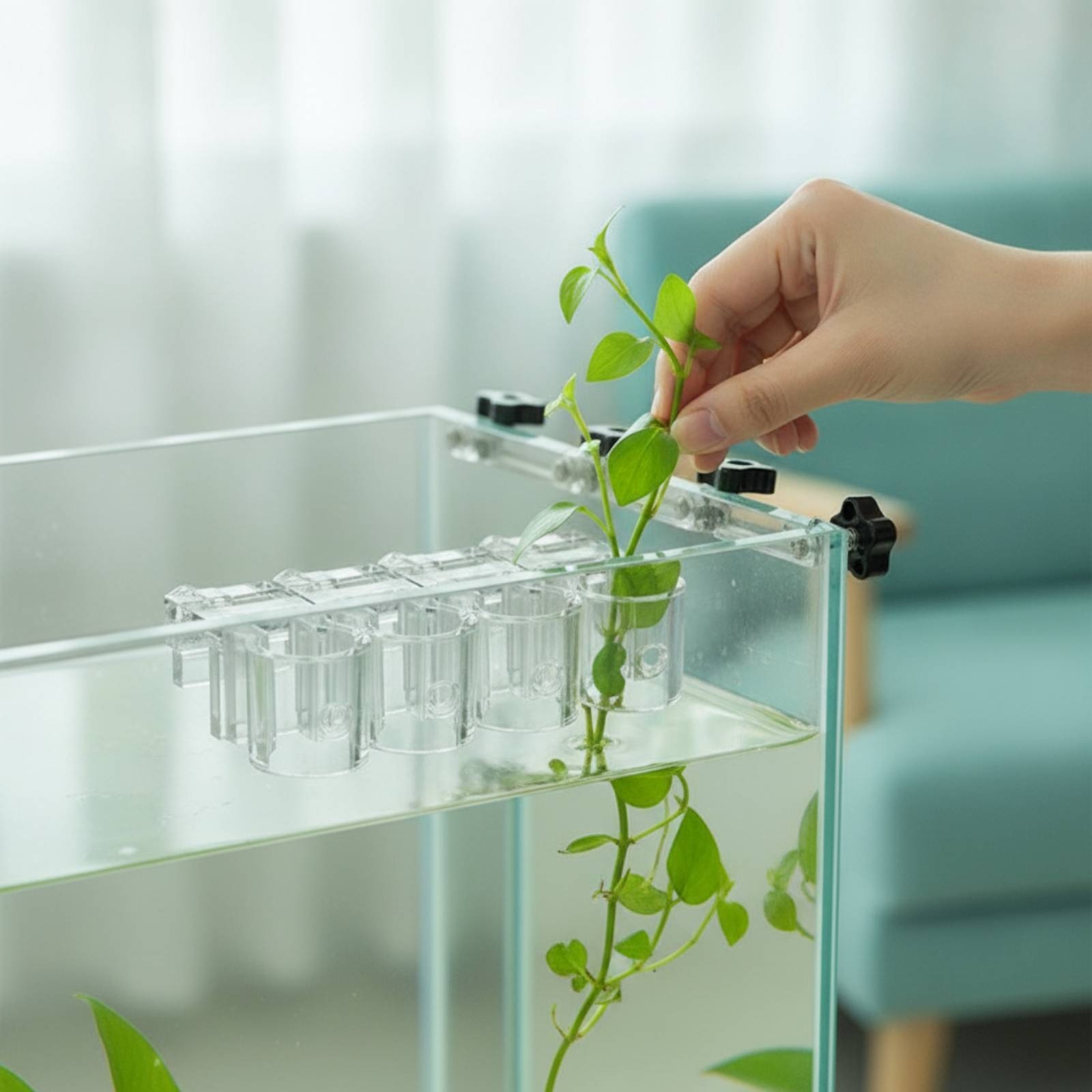 Set di 6 Supporti per Piante A - Aquarium Plants recensione e prezzo