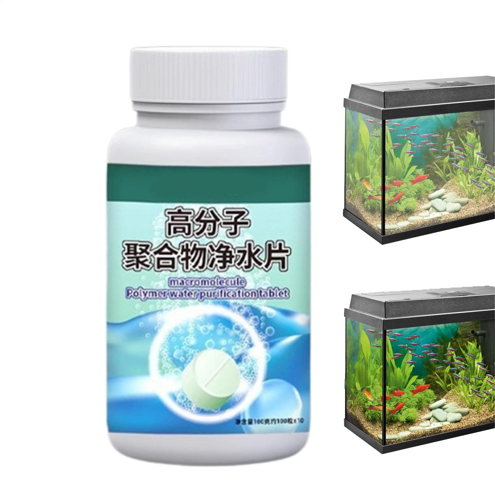 Purificatore d'acqua per acqua - Betta Fish Tank recensione e prezzo