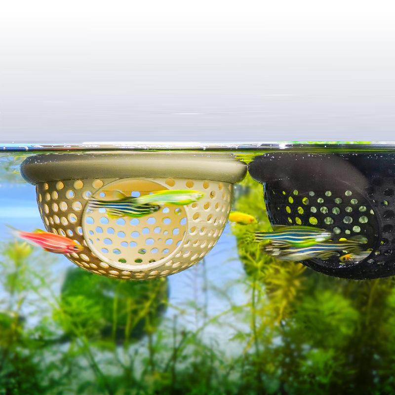 1 pz. Amaca per pesci Betta, g - Betta Fish Tank recensione e prezzo