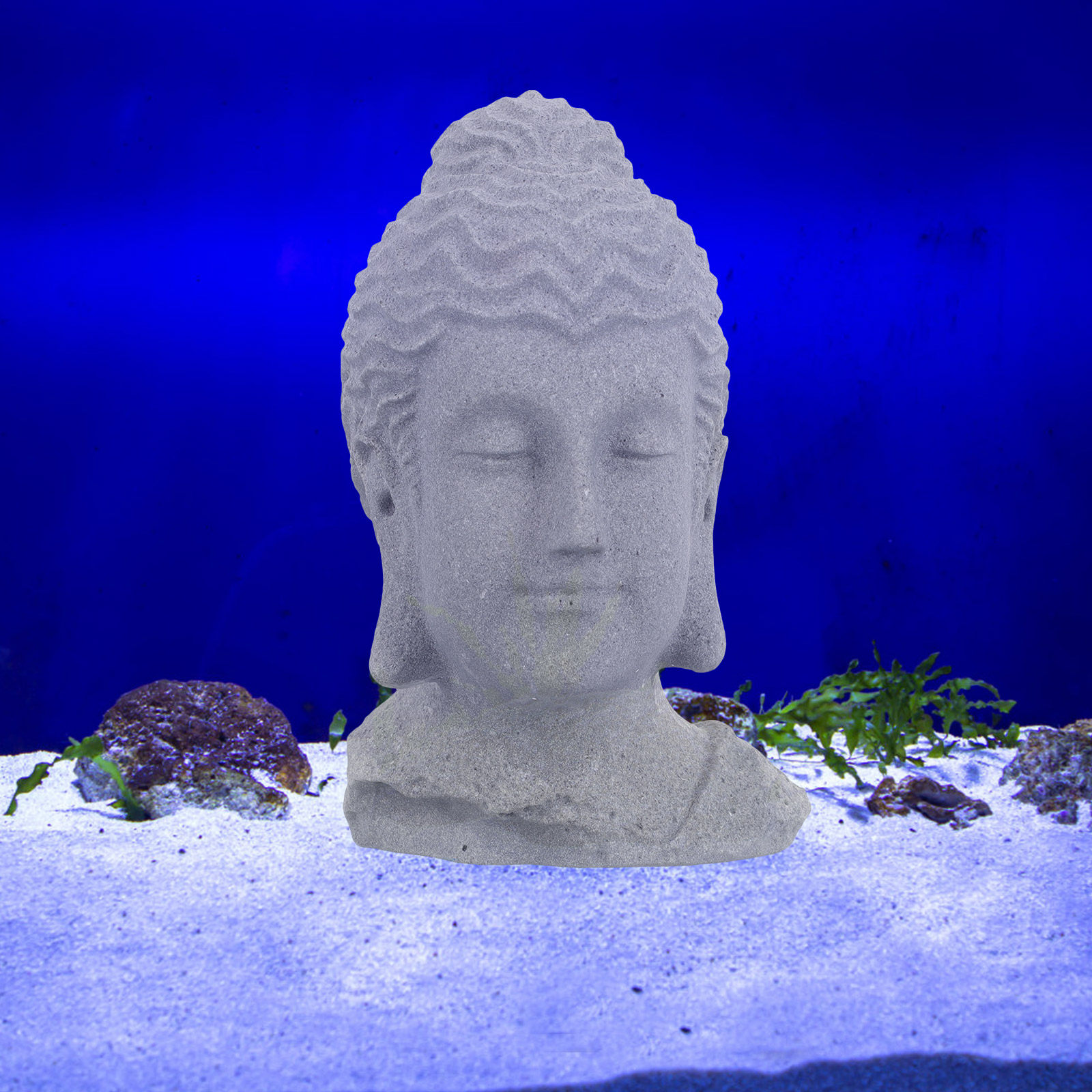 Statua di Buddha in posizione  - Fish Aquarium Home recensione e prezzo