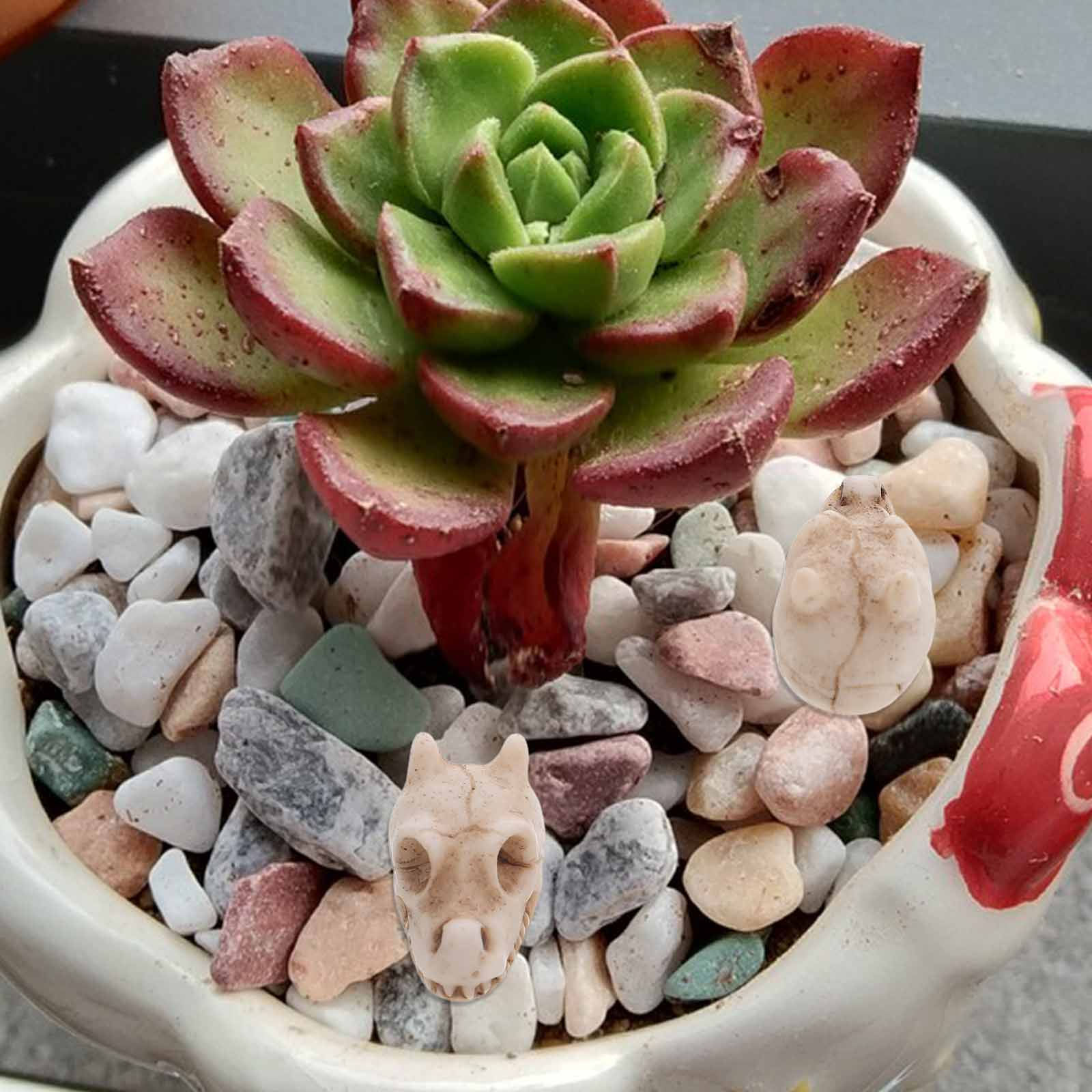 20 pezzi di piccoli ornamenti  - Aquarium Decor recensione e prezzo