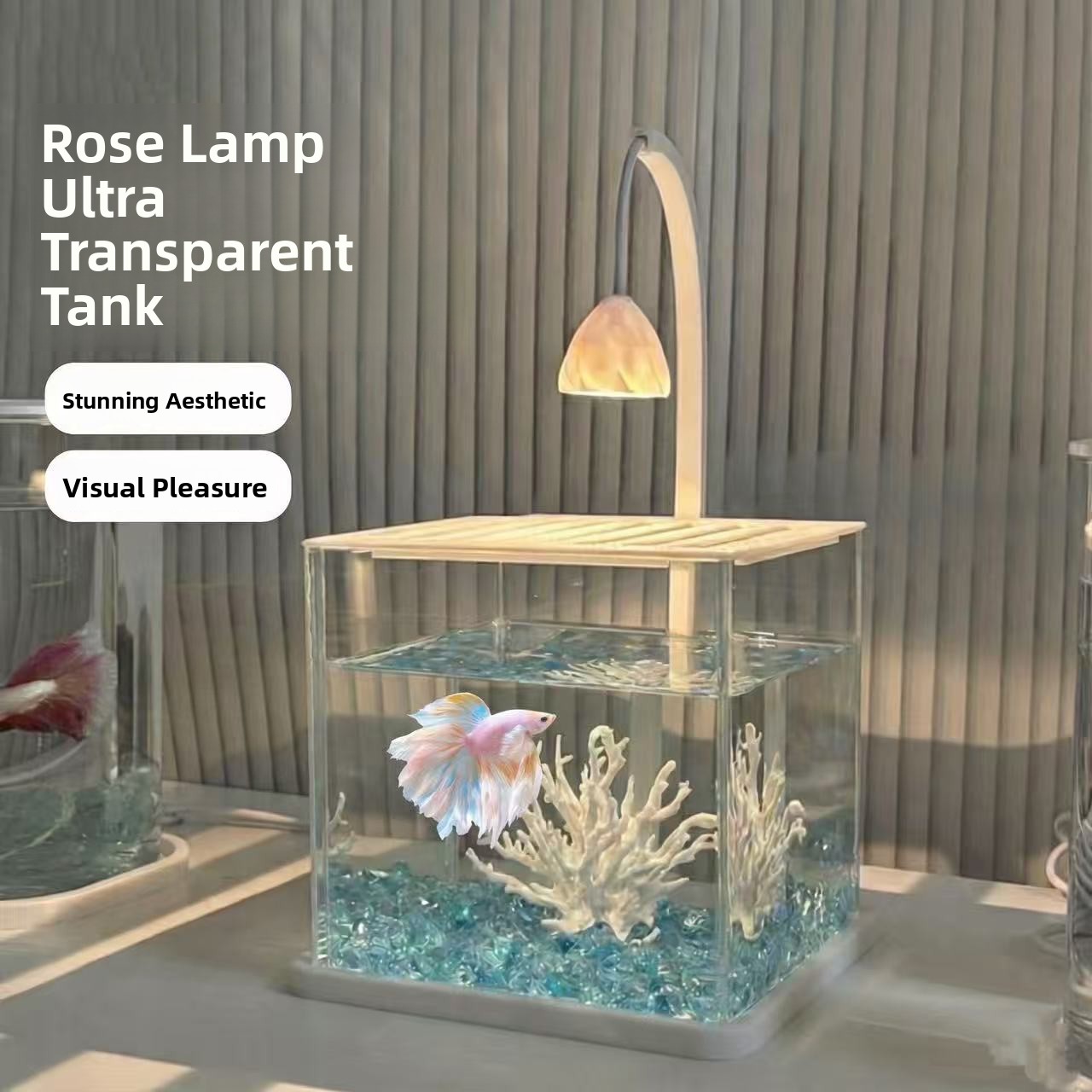 Acquario in acrilico con paesa - Betta Fish Tank recensione e prezzo
