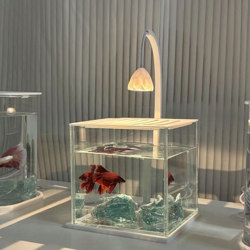 Acquario in acrilico con paesa - Betta Fish Tank recensione e prezzo