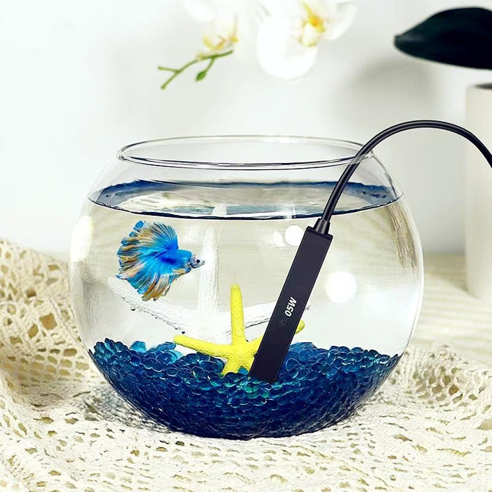 Mini Riscaldatore USB per Acqu - Betta Fish Tank recensione e prezzo