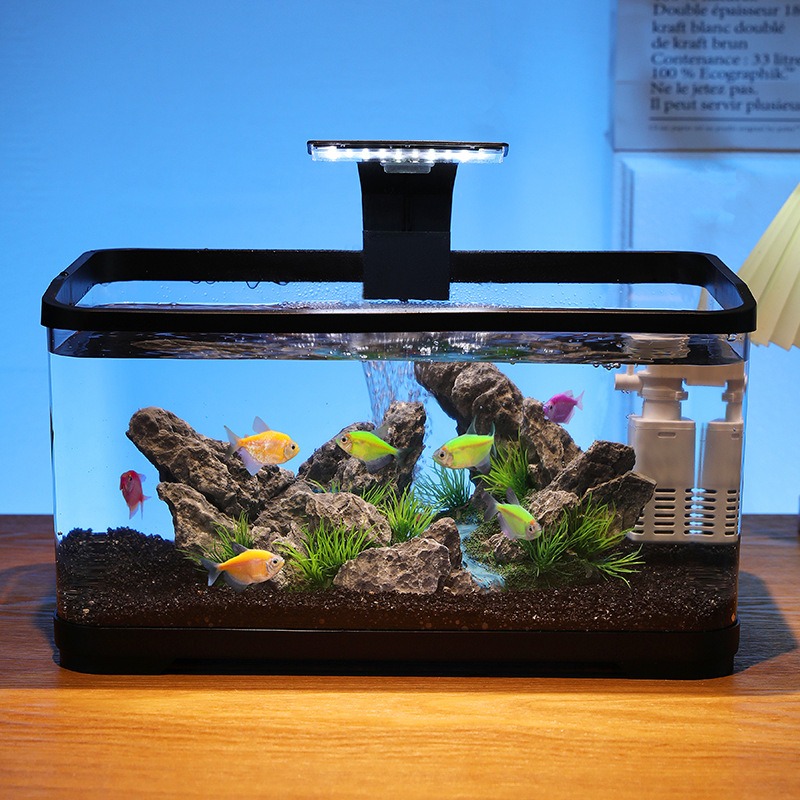Acquario da tavolo con filtro  - Fish Aquarium Home recensione e prezzo