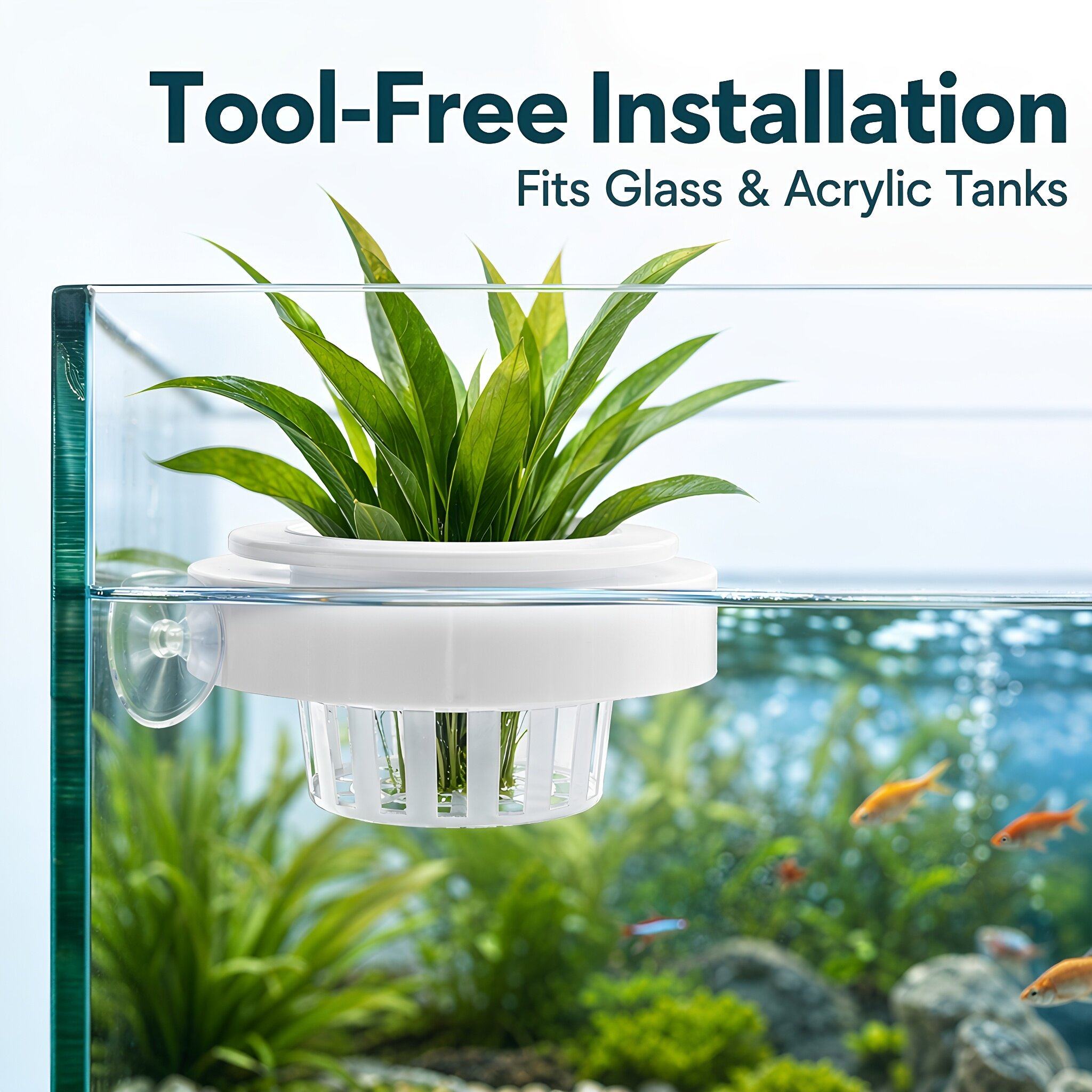 4 cestini galleggianti in plas - Aquarium Plants recensione e prezzo