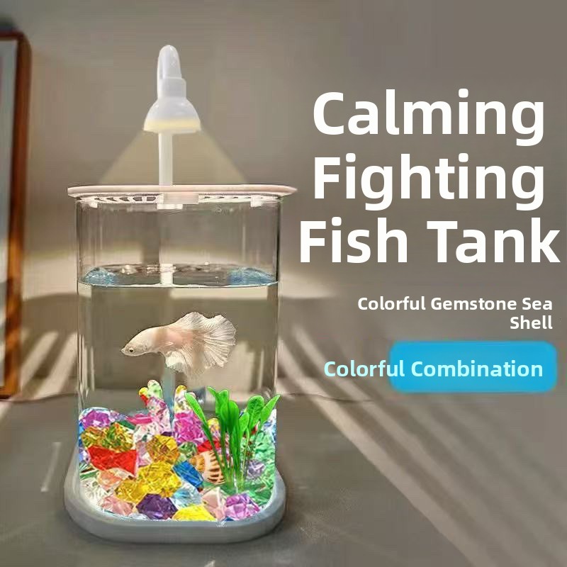 Set Completo Acquario Traspare - Betta Fish Tank recensione e prezzo