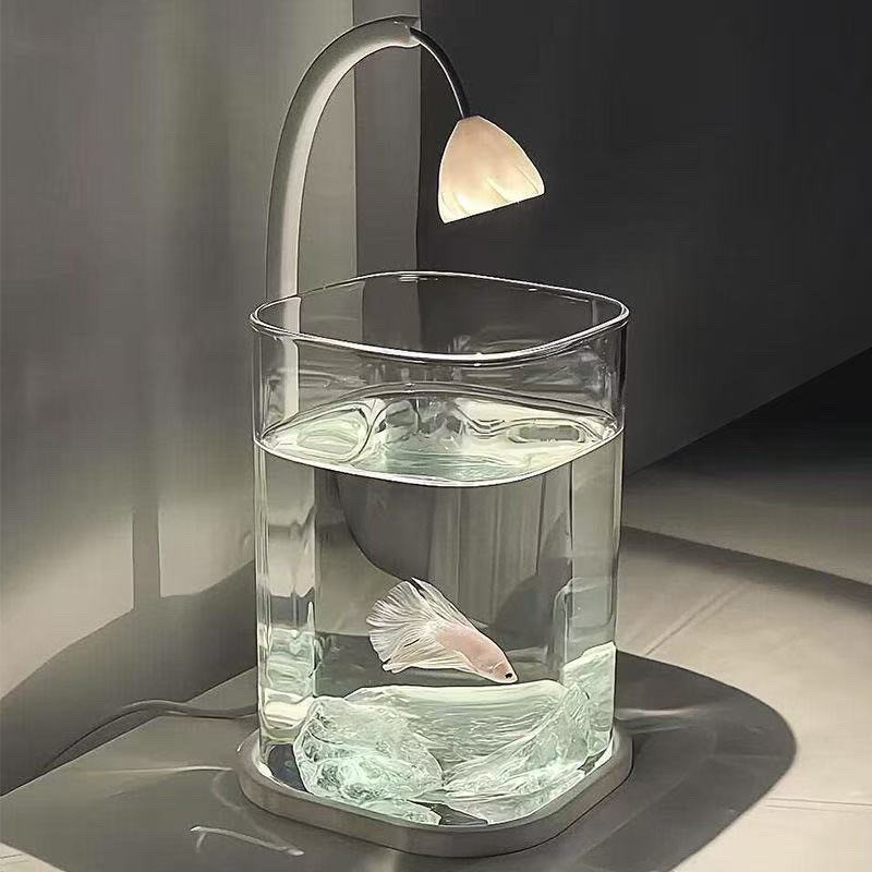 Set Completo Acquario Traspare - Betta Fish Tank recensione e prezzo