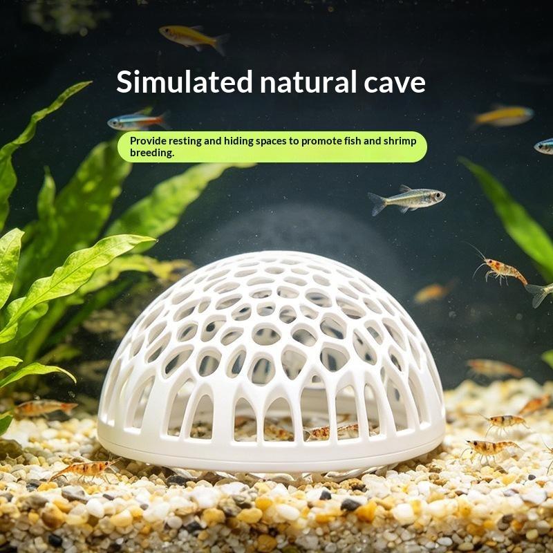 Nuova Casetta per Gamberetti d - Betta Fish Tank recensione e prezzo