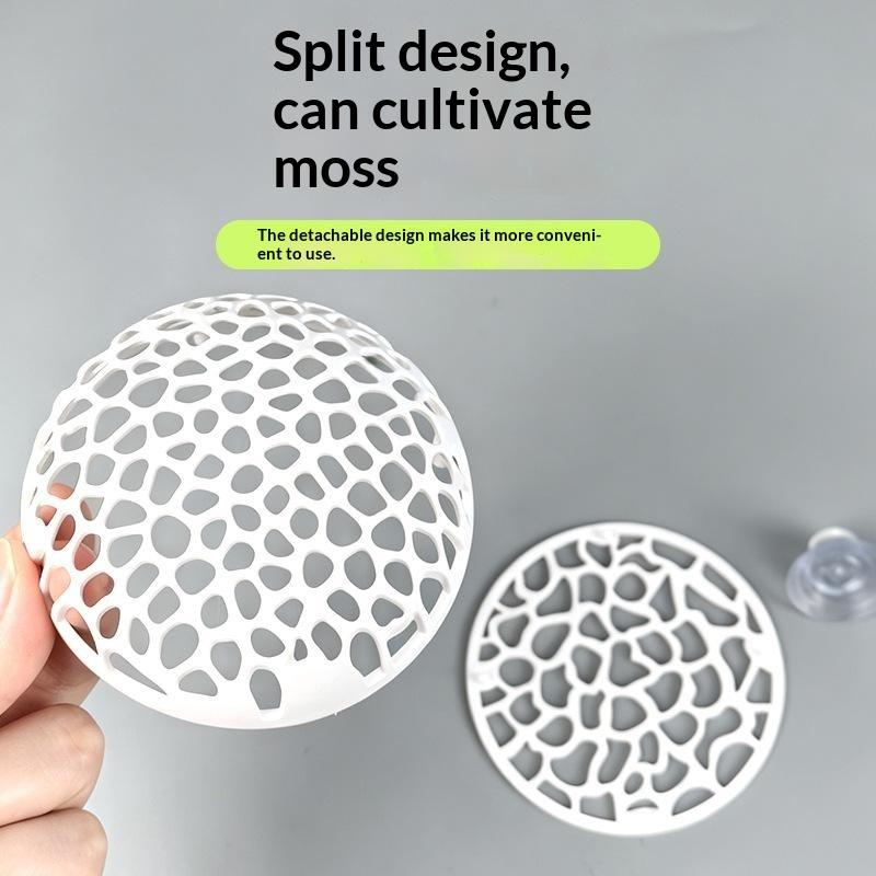Nuova Casetta per Gamberetti d - Betta Fish Tank recensione e prezzo