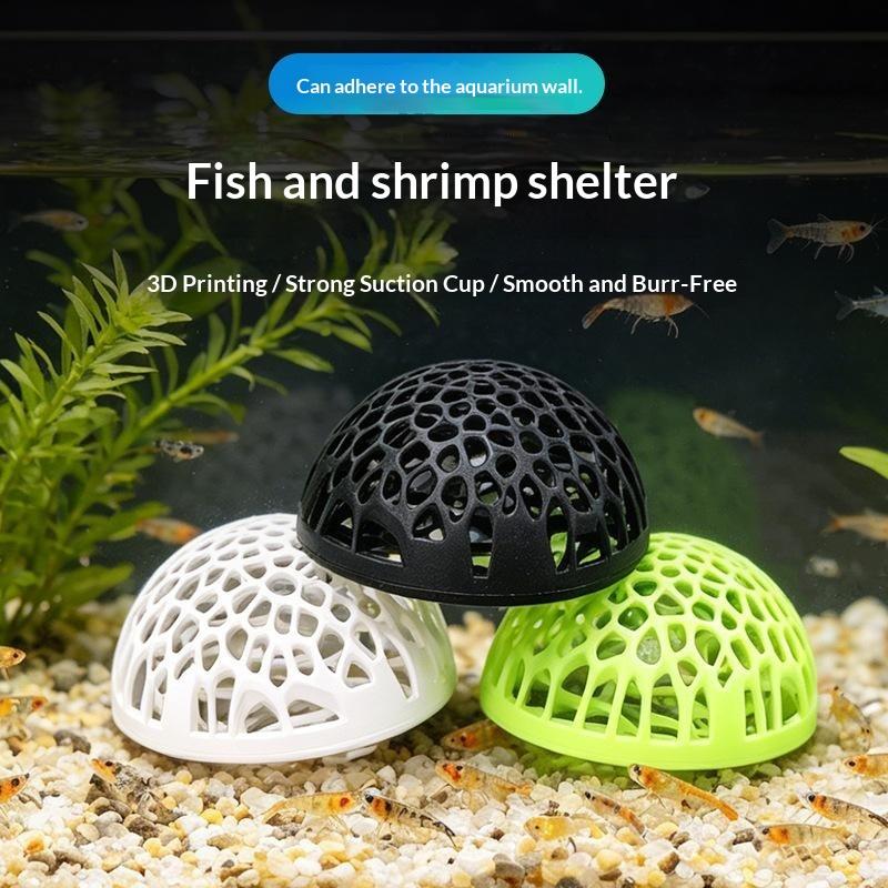 Nuova Casetta per Gamberetti d - Betta Fish Tank recensione e prezzo