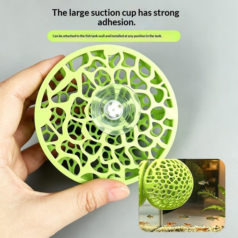 Nuova Casetta per Gamberetti d - Betta Fish Tank recensione e prezzo