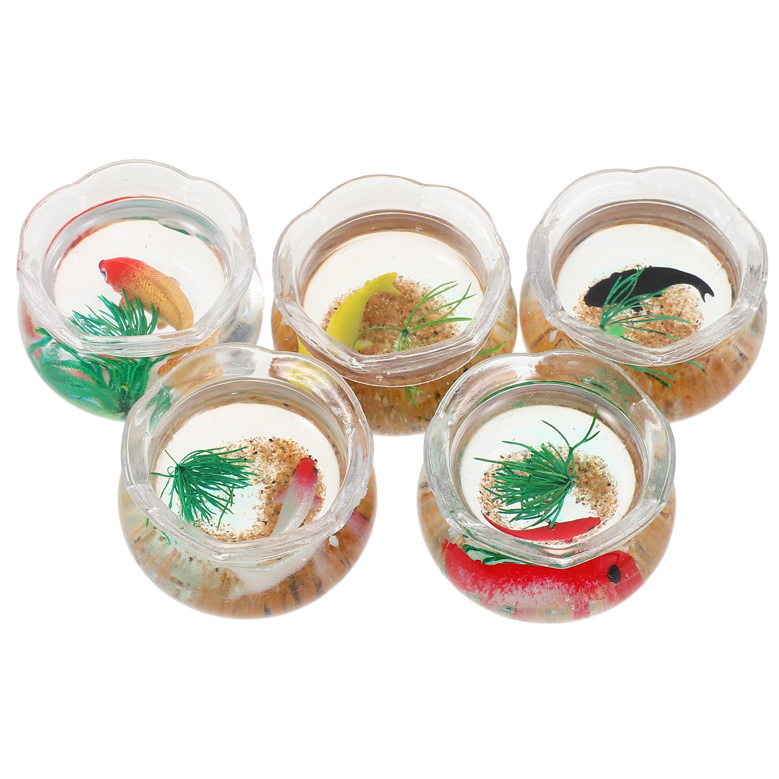 Set da 5 pezzi per un piccolo  - Aquarium Plants recensione e prezzo