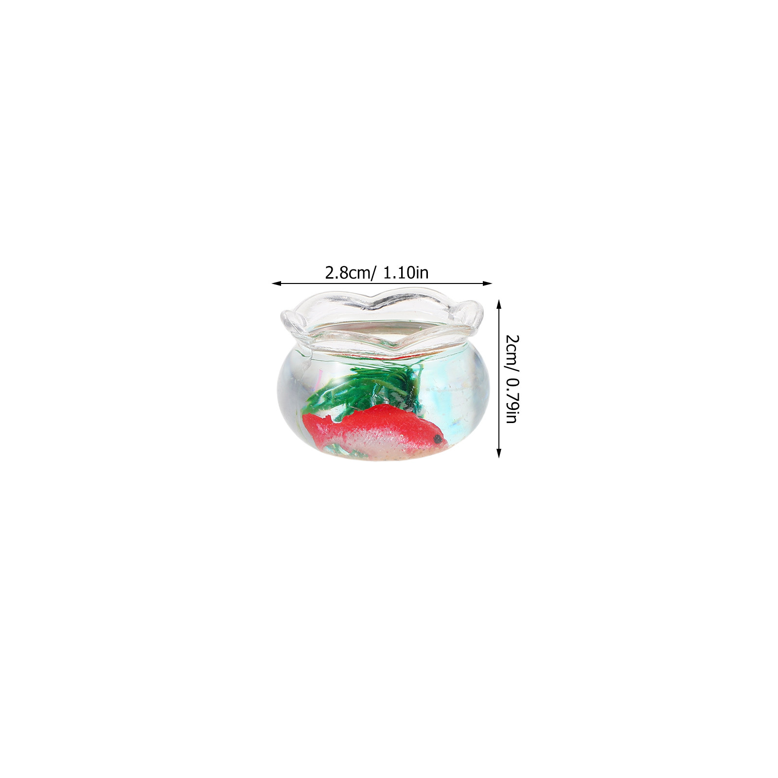 Set da 5 pezzi per un piccolo  - Aquarium Plants recensione e prezzo