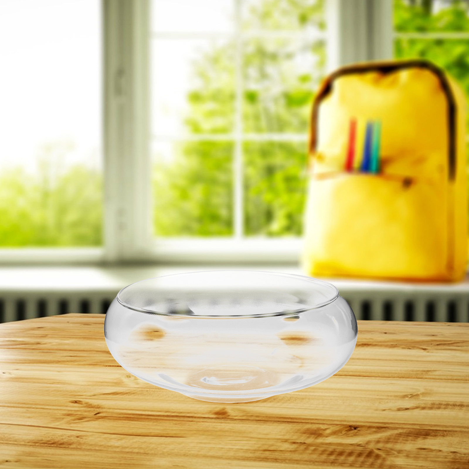 Vaso in vetro per piante idrop - Aquarium Plants recensione e prezzo