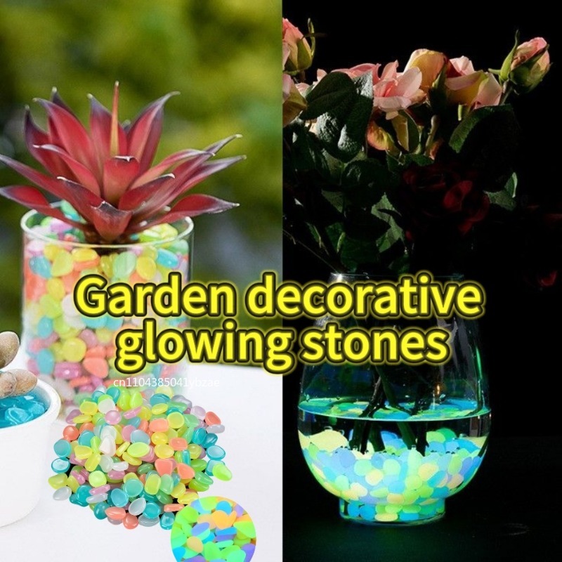 100-1000PCS Pietra luminosa Gi - Fish Aquarium Home recensione e prezzo