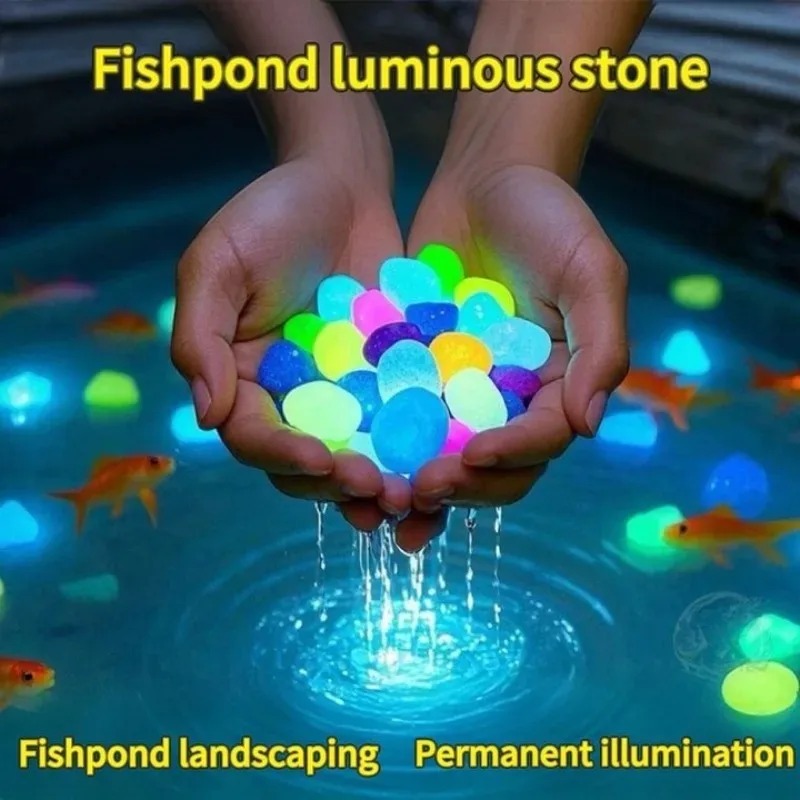 100-1000PCS Pietra luminosa Gi - Fish Aquarium Home recensione e prezzo